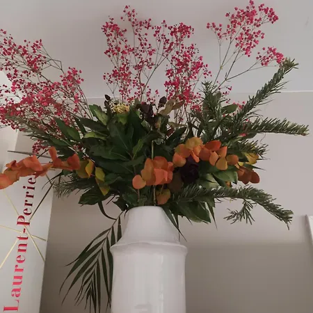 Saint Jean Gare Bel T3 Free Parking Appartement *